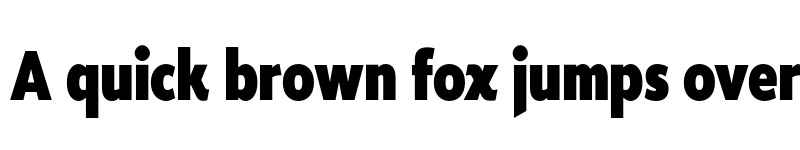 Preview of FONTSPRING DEMO - Roanne Cond Heavy Regular font