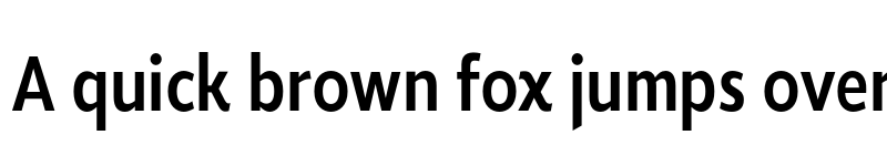 Preview of FONTSPRING DEMO - Roanne Cond Medium Regular font