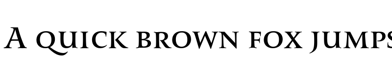 Preview of FONTSPRING DEMO - Romis Bold font