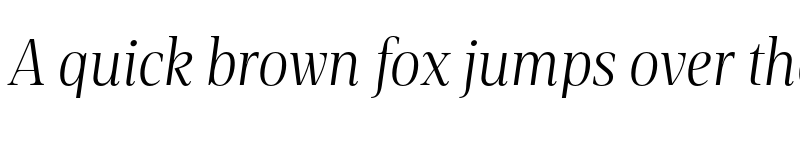 Preview of FONTSPRING DEMO - Rotwang Pro Italic font