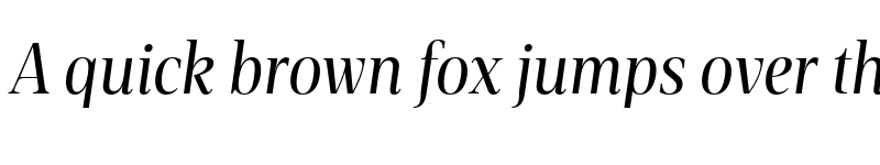 Preview of FONTSPRING DEMO - Rotwang Pro Medium Italic Regular font