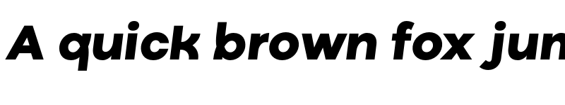 Preview of FONTSPRING DEMO - Ryker Black Oblique Bold Italic font