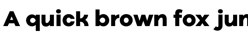 Preview of FONTSPRING DEMO - Ryker Text Black Bold font