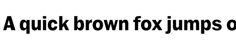Preview of FONTSPRING DEMO - Ryman Gothic Pro ExtraBold Regular font
