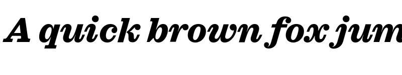 Preview of FONTSPRING DEMO - Sagona ExtraBold Italic font
