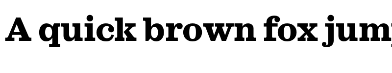 Preview of FONTSPRING DEMO - Sagona ExtraBold Regular font