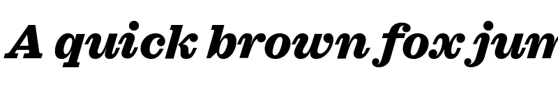 Preview of FONTSPRING DEMO - Sagona Heavy Italic font