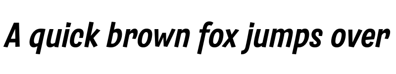 Preview of FONTSPRING DEMO - Salad Bold Italic font