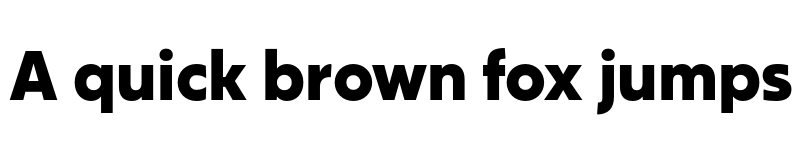 Preview of FONTSPRING DEMO - Salin ExtBd Regular font