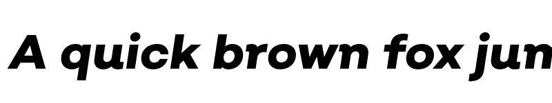 Preview of FONTSPRING DEMO - Salvatore ExtraBold Italic Regular font