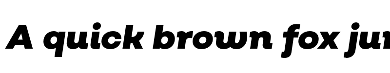 Preview of FONTSPRING DEMO - Salvatore Roman Black Italic Regular font