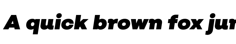 Preview of FONTSPRING DEMO - Salvatore UltraBlack Italic Regular font