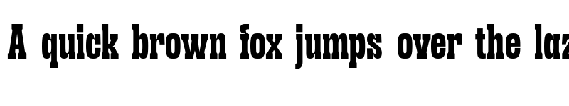 Preview of FONTSPRING DEMO - Sanford Region ExtBd Regular font