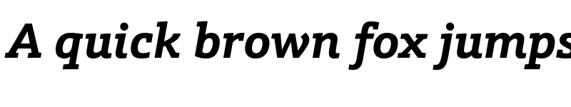 Preview of FONTSPRING DEMO - Schnebel Slab Pro Bold Italic font