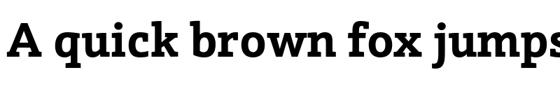 Preview of FONTSPRING DEMO - Schnebel Slab Pro Bold font