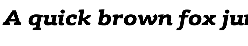 Preview of FONTSPRING DEMO - Schnebel Slab Pro Expand Black Italic font