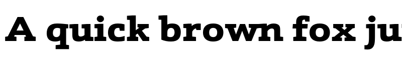 Preview of FONTSPRING DEMO - Schnebel Slab Pro Expand Black Regular font