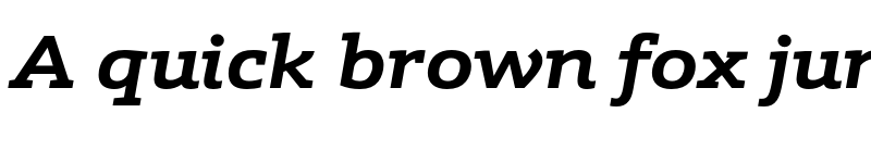 Preview of FONTSPRING DEMO - Schnebel Slab Pro Expand Bold Italic font
