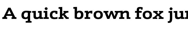 Preview of FONTSPRING DEMO - Schnebel Slab Pro Expand Bold font