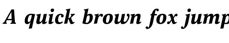 Preview of FONTSPRING DEMO - Scientia Black Italic font