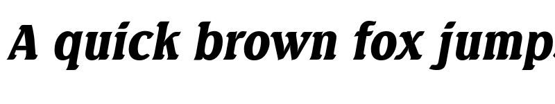 Preview of FONTSPRING DEMO - Seagull Serial Black Italic font