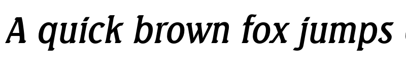 Preview of FONTSPRING DEMO - Seagull Serial Italic font