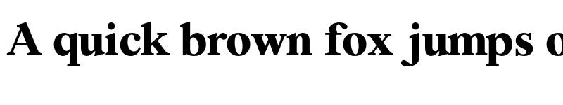 Preview of FONTSPRING DEMO - Segikan ExtBd Regular font