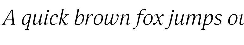 Preview of FONTSPRING DEMO - Selina Light Italic font