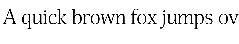 Preview of FONTSPRING DEMO - Selina Light Regular font