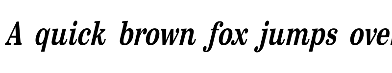 Preview of FONTSPRING DEMO - Sentry Condensed Bold Italic font