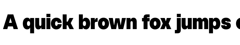 Preview of FONTSPRING DEMO - SFT Schrifted Sans Black Comp Regular font
