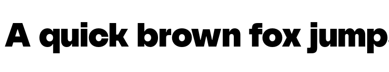 Preview of FONTSPRING DEMO - SFT Schrifted Sans Black Regular font