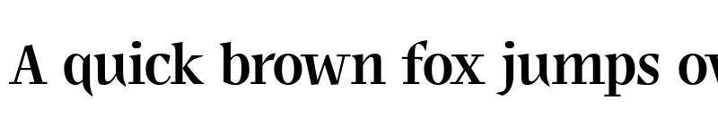 Preview of FONTSPRING DEMO - Shapa JY Bold font