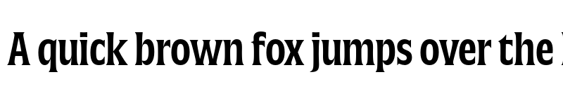 Preview of FONTSPRING DEMO - Silverspoon Condensed Bold font