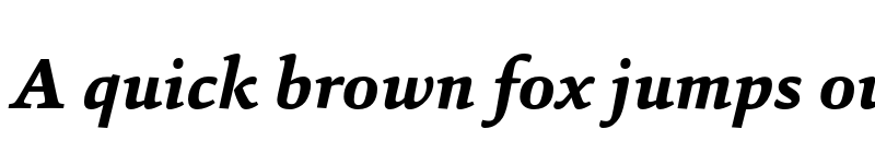 Preview of FONTSPRING DEMO - Sina-ExtraBoldItalic Regular font