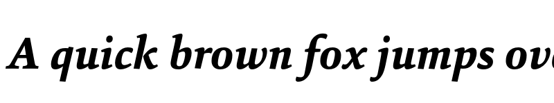 Preview of FONTSPRING DEMO - SinaNova-ExtraBoldItalic Regular font