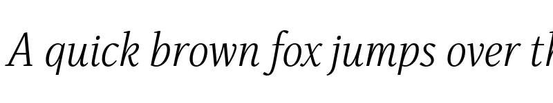 Preview of FONTSPRING DEMO - Singel Book Italic font