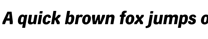 Preview of FONTSPRING DEMO - Skilt Gothic Bold Italic font