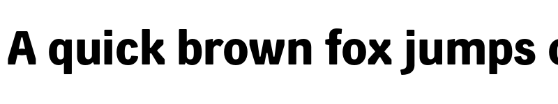 Preview of FONTSPRING DEMO - Skilt Gothic Bold font