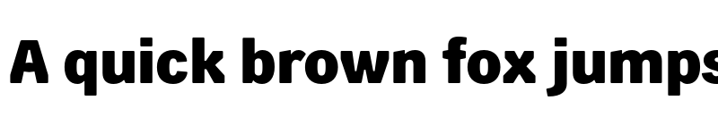 Preview of FONTSPRING DEMO - Skilt Gothic Extrabold Regular font