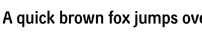 Preview of FONTSPRING DEMO - Skilt Gothic Medium Regular font