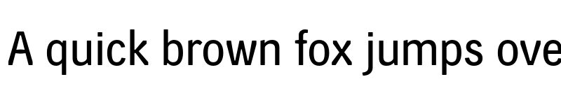 Preview of FONTSPRING DEMO - Skilt Gothic Regular font