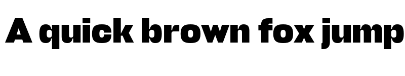 Preview of FONTSPRING DEMO - Stapel Extra Bold Regular font