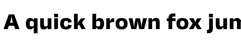 Preview of FONTSPRING DEMO - Startup Extrabold Regular font