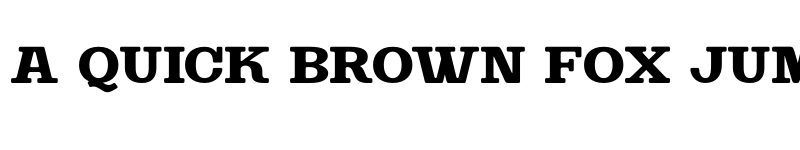 Preview of FONTSPRING DEMO - SteakAndCheese Slab Bold Regular font