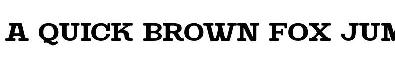 Preview of FONTSPRING DEMO - SteakAndCheese Slab Regular font