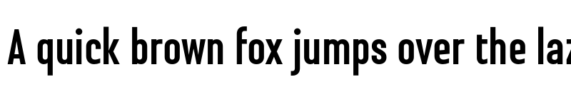 Preview of FONTSPRING DEMO - Steclo Bold font