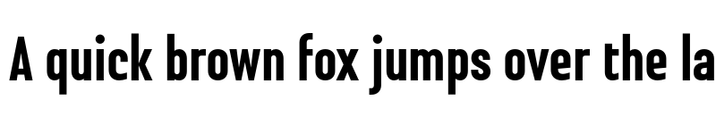 Preview of FONTSPRING DEMO - Steclo ExtBd Regular font