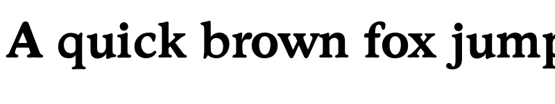 Preview of FONTSPRING DEMO - Stratford Serial Bold font