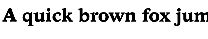 Preview of FONTSPRING DEMO - Stratford Serial Xbold Regular font